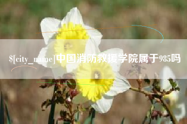 毕节中国消防救援学院属于985吗