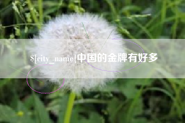 毕节中国的金牌有好多