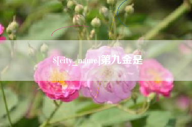 毕节第九金是