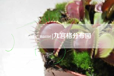 毕节九宫格分布图