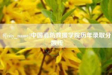 毕节中国消防救援学院历年录取分数线