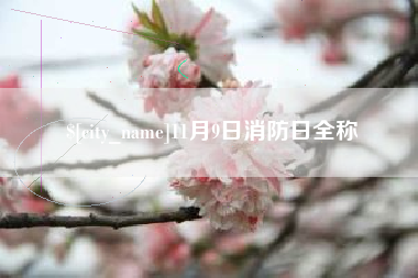 毕节11月9日消防日全称