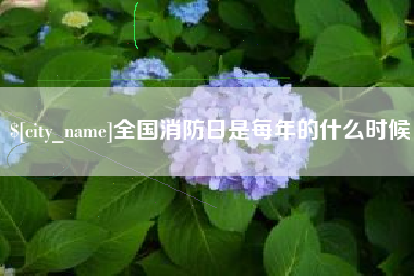 毕节全国消防日是每年的什么时候