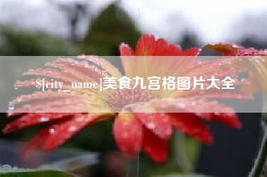 毕节美食九宫格图片大全