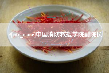 毕节中国消防救援学院副院长