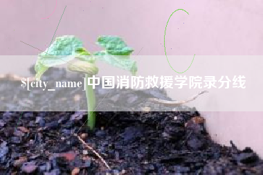 毕节中国消防救援学院录分线