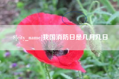 毕节我国消防日是几月几日