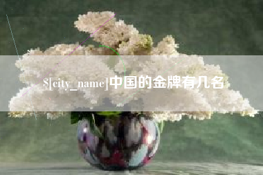 毕节中国的金牌有几名