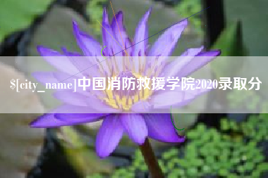 毕节中国消防救援学院2020录取分