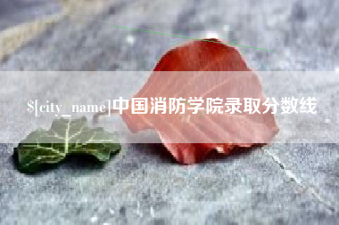 毕节中国消防学院录取分数线