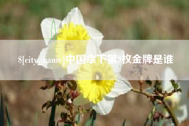 毕节中国拿下第9枚金牌是谁