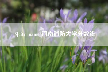 毕节河南消防大学分数线