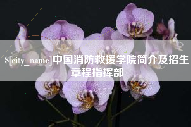 毕节中国消防救援学院简介及招生章程指挥部