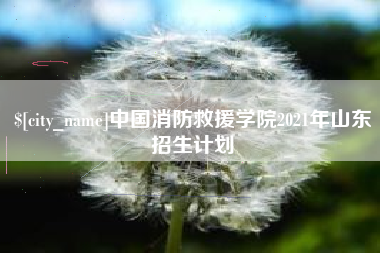 毕节中国消防救援学院2021年山东招生计划