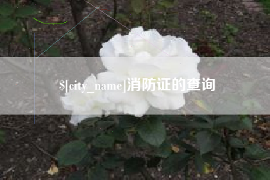 毕节消防证的查询