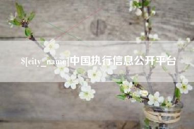 毕节中国执行信息公开平台
