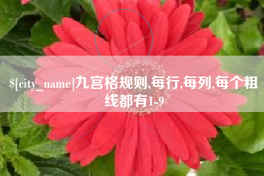 毕节九宫格规则,每行,每列,每个粗线都有1-9