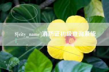毕节消防证初级查询系统