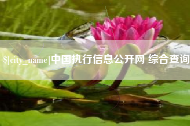 毕节中国执行信息公开网 综合查询