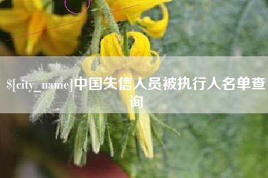 毕节中国失信人员被执行人名单查询