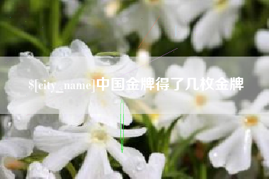 毕节中国金牌得了几枚金牌