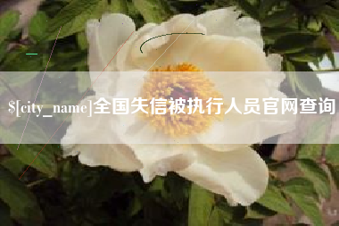 毕节全国失信被执行人员官网查询