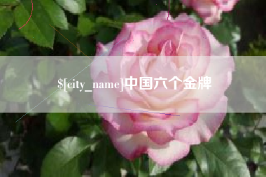 毕节中国六个金牌