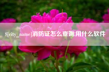 毕节消防证怎么查询,用什么软件