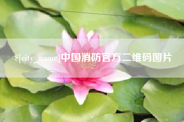 毕节中国消防官方二维码图片