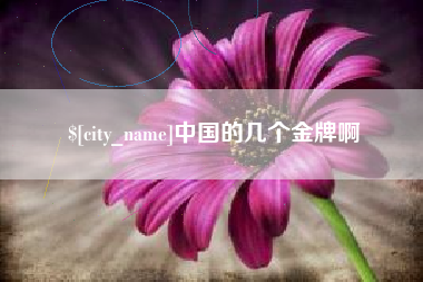 毕节中国的几个金牌啊