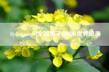 毕节全国男子5000米世界纪录