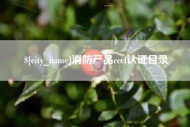 毕节消防产品cccf认证目录