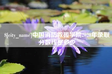 毕节中国消防救援学院2020年录取分数线是多少