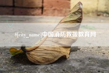 毕节中国消防救援教育网