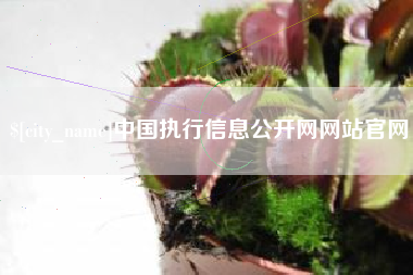 毕节中国执行信息公开网网站官网