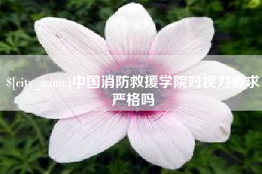 毕节中国消防救援学院对视力要求严格吗