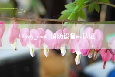 毕节消防设备ccc认证