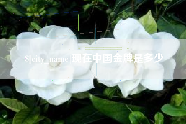 毕节现在中国金牌是多少