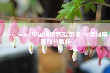 毕节中国消防救援学院2020年河南录取分数线