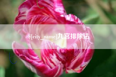 毕节九宫排除法