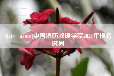 毕节中国消防救援学院2021年报名时间