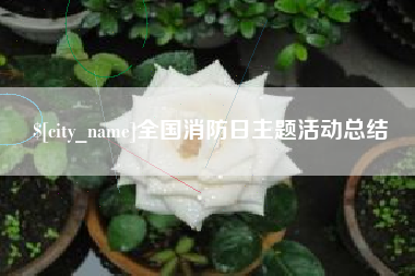 毕节全国消防日主题活动总结