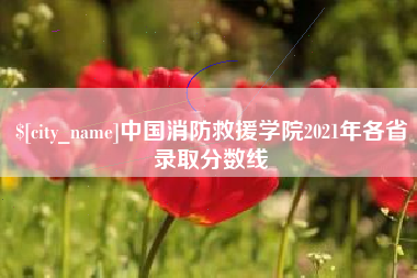 毕节中国消防救援学院2021年各省录取分数线