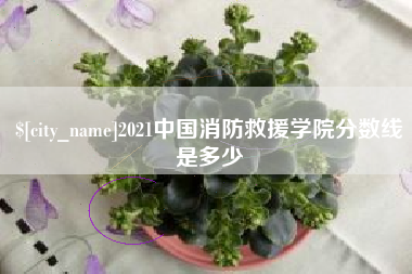 毕节2021中国消防救援学院分数线是多少