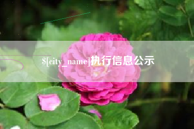 毕节执行信息公示