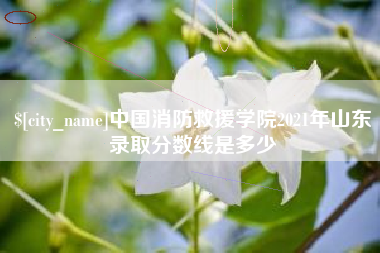 毕节中国消防救援学院2021年山东录取分数线是多少