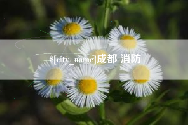 毕节成都 消防