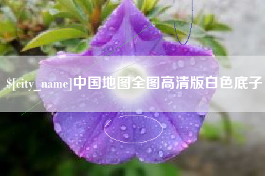 毕节中国地图全图高清版白色底子