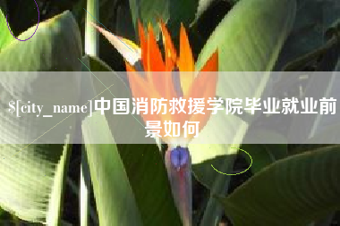 毕节中国消防救援学院毕业就业前景如何