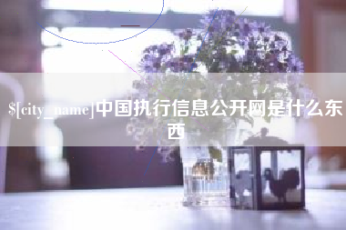 毕节中国执行信息公开网是什么东西